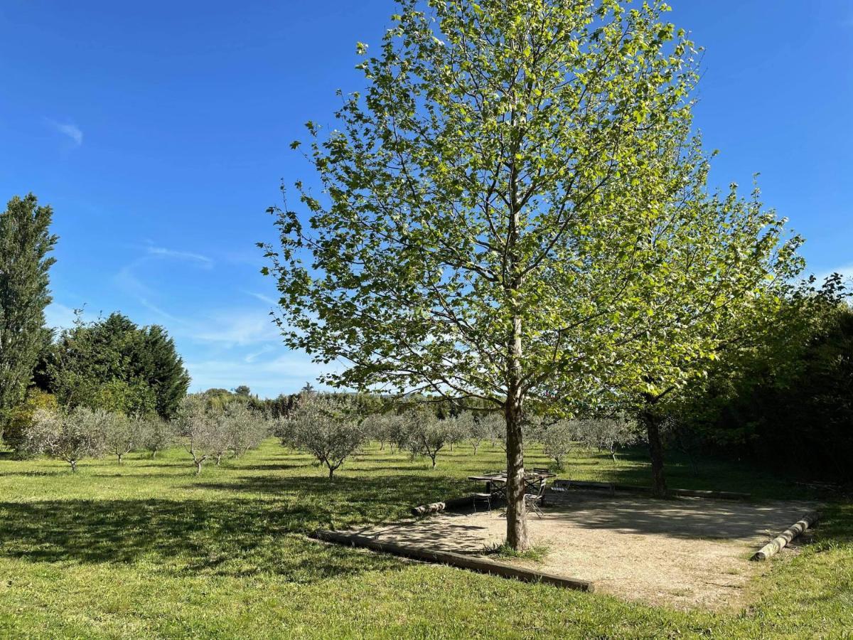 Appartement De Charme Sud Luberon Classe 4 Etoiles Puyvert Dış mekan fotoğraf